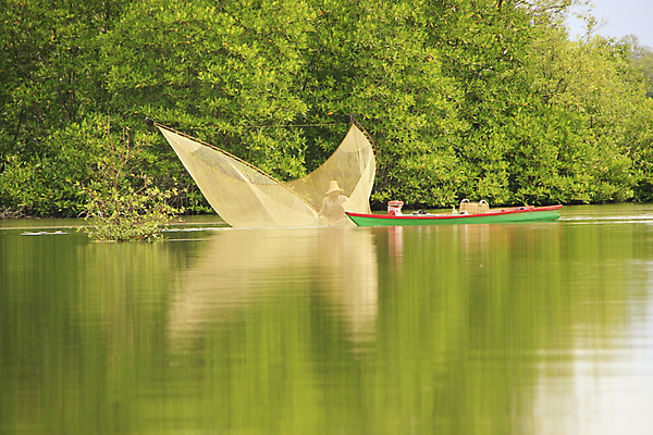 포토 JPG 해외이미지 공원 아시아 바다 여행 낚시 사람없음 목재 강 그물 숲 방파제 낚시꾼 캄보디아 전국 해외포토 나무 공공시설 나라 재료 레저 파일형식 이미지허브