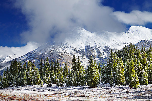 포토 JPG 해외이미지 나무 구름 여행 겨울 자연 하늘 아침 산 풍경 사람없음 야외 초록색 파란색 미국 추위 가을 흰색 소나무 황무지 숲 폭풍 북쪽 전나무 산악지대 절정 콜로라도 눈내림 해외포토 주간 자연요소 식물 계절 컬러 북아메리카 날씨 눈_날씨 방향 생태계 파일형식 이미지허브