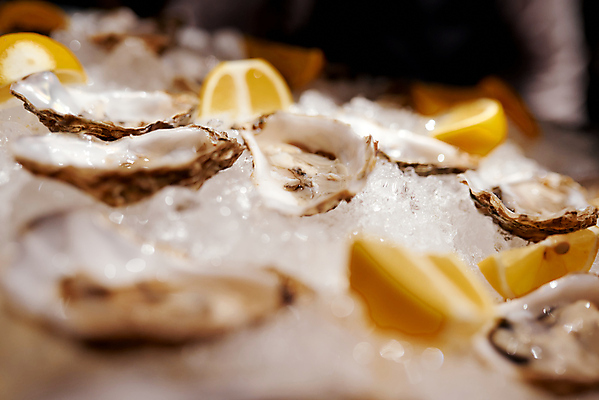 포토 JPG 해외이미지 접시 음식 바다 백그라운드 과일 조개 연체동물 건강 육류 요리 사람없음 주방 얼음 식사 저녁식사 추위 껍질 굴 신선 고급 맛 상추 먹기 레몬 해산물 메뉴 날것 서빙 라임 성분 대서양 건강식 점심식사 식품점 맛있는 해외포토 자연요소 식기 컨셉 채소 식재료 모션 어패류 무척추동물 상점 파일형식 이미지허브