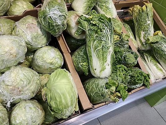 포토 JPG 해외이미지 라이프스타일 웰빙 음식 컨셉 농업 다이어트 채소 실내 건강 식이요법 사람없음 가로 초록색 경제 판매 쌓기 건강관리 상점 최고 닫기 선택 구매 상품 계산대 유기농 양배추 날것 성분 소매 건강식 슈퍼마켓 돌봄 매각 숙성 식욕 영양분 채식주의자 케일 비건 해외포토 산업 컬러 모션 관리 내부 생활 쇼핑 채식 파일형식 이미지허브