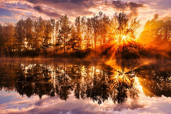 포토 JPG 해외이미지 나무 자연 하늘 사람없음 야외 강 햇빛 태양 일몰 해외포토 자연요소 식물 노을 생태계 파일형식 이미지허브