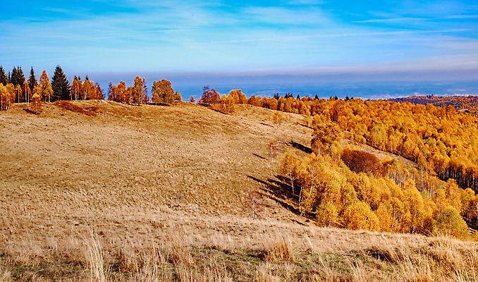 포토 JPG 해외이미지 전통 유럽 여행 백그라운드 자연 하늘 산 주택 사람없음 야외 건물 목재 파란색 농가 농장 마을 계곡 수확 시골 소나무 정상 숲 오두막 언덕 그림 시골집 루마니아 샬레 옛날 해외포토 나무 건축물 나라 컬러 농업 재료 실험기구 생태계 파일형식 이미지허브