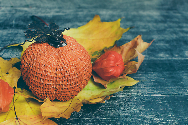 포토 JPG 해외이미지 디자인 계절 열매 음식 백그라운드 컨셉 단풍 잎 패턴 채소 오렌지 자연 탁자 호박 휴가 프레임 건조 미술 사람없음 장식 빨간색 갈색 노란색 침묵 할로윈 수확 흰색 시골 플랫 정상 11월 레이아웃 위치 추수감사절 10월 구성 힙스터 플랫레이 해외포토 식물 패션 기독교 컬러 가구 무늬 농업 과일 문화예술 소리 날짜 생태계 파일형식 이미지허브