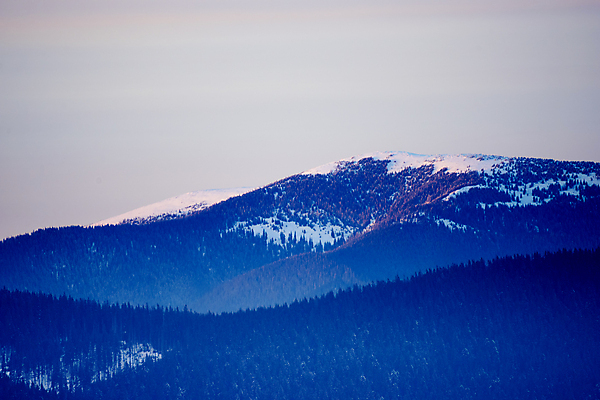 포토 JPG 해외이미지 나무 계절 여행 백그라운드 크리스마스 겨울 자연 하늘 동화 휴가 산 풍경 경사 사람없음 야외 목재 파란색 냉동 얼음 놀람 추위 안개 덮개 백발 흰색 신선 숲 언덕 즐거움 서리 전나무 눈보라 우크라이나 폭설 눈내림 가문비나무 환상 해외포토 자연요소 식물 헤어스타일 기념일 감정 유럽 컬러 컨셉 재료 날씨 눈_날씨 표정 뚜껑 자연재해 생태계 파일형식 이미지허브