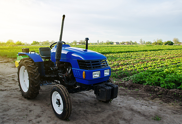포토 JPG 해외이미지 유럽 산업 밭 농업 아침 새로움 감자 풍경 사람없음 초록색 파란색 농장 농경지 맑음 기계 일몰 새벽 장비 과학기술 수확 가을 시골 업무 도움 어플리케이션 트랙터 유지 밭일 세금 자동화 효율 해외포토 주간 자연요소 계절 나라 컬러 컨셉 채소 날씨 기술 노을 작업 농기계 특수차량 파일형식 이미지허브