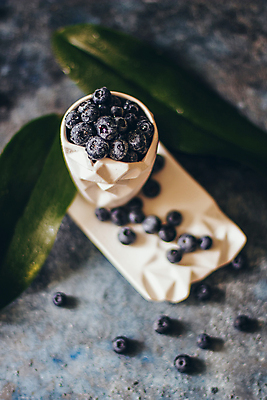 포토 JPG 해외이미지 열매 음식 백그라운드 잎 농업 다이어트 과일 재료 자연 탁자 디저트 건강 사람없음 목재 파란색 수확 시골 신선 그룹 사발 달콤 맛 숲 먹기 유기농 블루베리 날것 흙더미 내추럴 바이오 숙성 채식주의자 많음 비건 맛있는 해외포토 나무 식물 웰빙 산업 컬러 가구 컨셉 모션 흙 사기그릇 생태계 채식 파일형식 더미 이미지허브