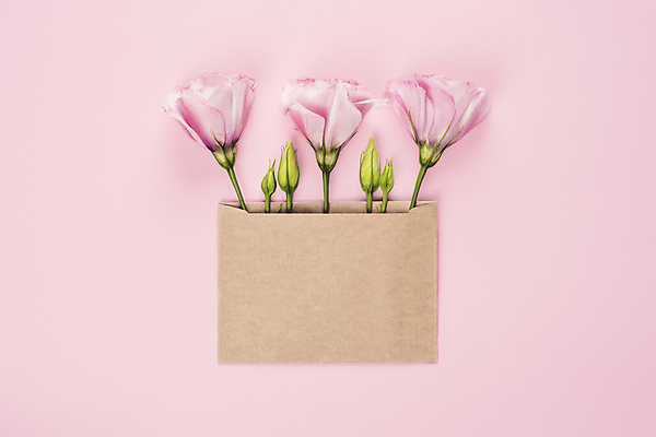 포토 JPG 해외이미지 배너 여자 기념일 꽃 포스터 분홍색 꽃다발 결혼 백그라운드 컨셉 꽃무늬 휴가 봉투 흑백 발렌타인데이 선물 사랑 사람없음 컬러풀 파티 유행 낭만 벚꽃 흰색 축하 인사 신용카드 생일 닫기 레이아웃 초대 패키지 구성 플랫레이 카피스페이스 미니멀 해외포토 식물 감정 컬러 무늬 모션 데이이벤트 촬영기법 사람 이벤트 금융 공백 예절 플랫 파일형식 이미지허브