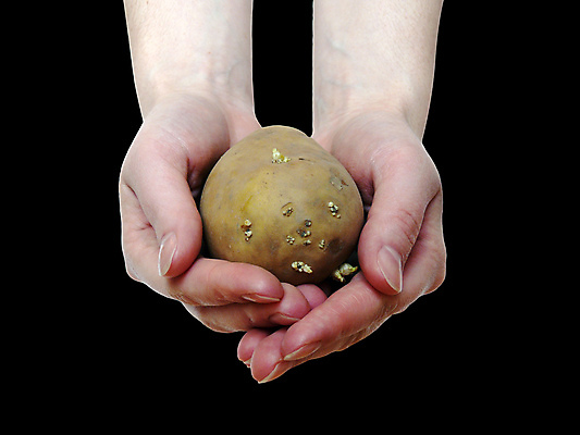 포토 JPG 해외이미지 손 음식 컨셉 농업 채소 손가락 감자 선물 사람없음 농장 갈색 평화 검은색 수확 잡기 준비 고립 해외포토 산업 컬러 모션 신체부위 파일형식 이미지허브