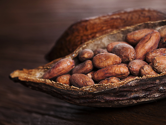 포토 JPG 해외이미지 디저트 근접촬영 사람없음 카카오열매 나무배경 해외포토 열매 음식 뷰포인트 백그라운드 카카오 파일형식 이미지허브