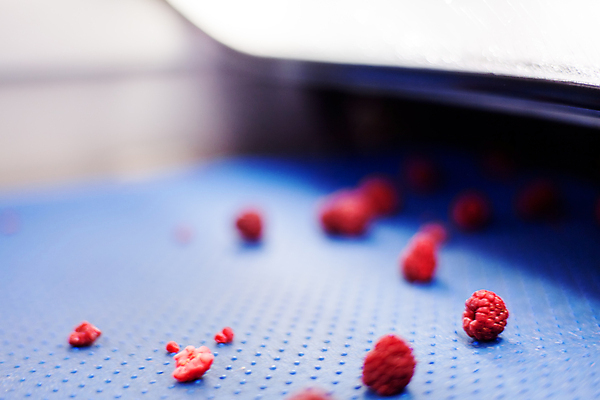 포토 JPG 해외이미지 공장 사람없음 아웃포커스 냉동 기계 제조 알맹이 산딸기 식품공장 냉동식품 해외포토 음식 과일 공업 촬영기법 파일형식 이미지허브