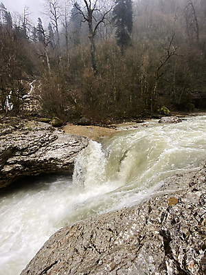 포토 JPG 해외이미지 주간 나무 야생동물 여행 자연 날씨 산 사람없음 야외 세로 물 관광지 강 환경 놀람 흐름 시골 개울 떨어짐 숲 신비 속도 수로 자연백그라운드 분무기 지역 산악지대 생태학 현재 해외포토 자연요소 식물 동물 교육 감정 백그라운드 컨셉 표정 생태계 파일형식 이미지허브