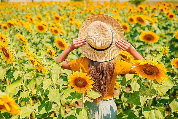 포토 JPG 해외이미지 주간 나무 여자 꽃밭 해바라기 한명 풍경 상반신 성인 야외 뒷모습 여름 잡기 밀짚모자 성인여자한명만 해외포토 자연요소 식물 모자_잡화 1 계절 꽃 뷰포인트 모션 사람 여자한명만 성인여자만 파일형식 이미지허브