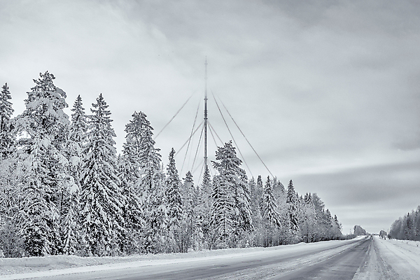 포토 JPG 해외이미지 나무 식물 구름 계절 공원 도로 길 여행 백그라운드 겨울 자연 하늘 날씨 흑백 풍경 사람없음 야외 목재 빛 뷰티 환경 탑 냉동 검은색 텔레비전 추위 안개 흰색 기둥 정상 숲 서리 장면 상록수 침엽수 전나무 방법 선로 제설기 가문비나무 해외포토 자연요소 건축물 공공시설 건축 컬러 재료 교통시설 촬영기법 전자제품 생태계 제설 파일형식 이미지허브