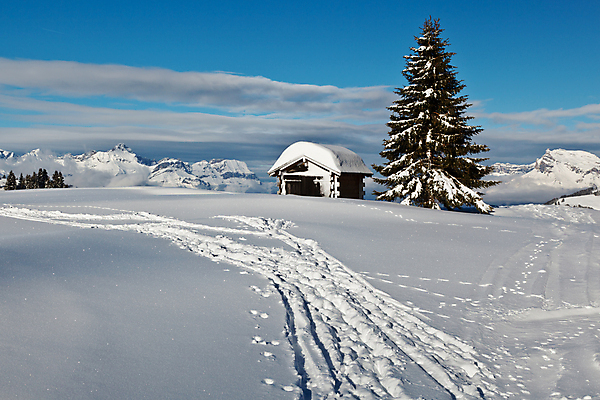 포토 JPG 해외이미지 나무 전통 유럽 여행 겨울 하늘 휴가 스키 산 주택 풍경 사람없음 목재 초록색 파란색 햇빛 계곡 얼음 침묵 산책로 추위 프랑스 흰색 시골 소나무 스노우보드 숲 오두막 시원함 가루 그림 휴양지 알프스 장면 전나무 추적 샬레 해외포토 자연요소 식물 계절 나라 길 컬러 재료 모션 겨울스포츠 실험기구 건물 태양 소리 장소 보드_스포츠 파일형식 이미지허브