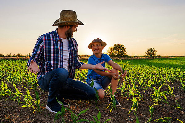 포토 JPG 해외이미지 식물 직업 모자 교육 행복 산업 아들 어린이 농업 비즈니스 가족 성공 함께함 옥수수 미소 소년 성인 두명 10대 농작물 학습 농장 일몰 자유 성장 농촌 시골 가르침 아빠 카우보이 농부 확인 만족 파종 카피스페이스 해외포토 잡화 남자 감정 컨셉 관계 청소년 곡류 표정 사람 노을 농사 공백 파일형식 이미지허브