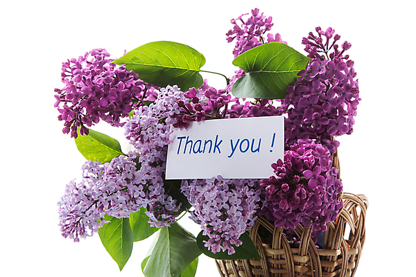 포토 JPG 해외이미지 종이 백그라운드 프레임 사랑 사람없음 바구니 사각형 보라색 감사 라일락 레터링 해외포토 도형 꽃 감정 컬러 파일형식 이미지허브