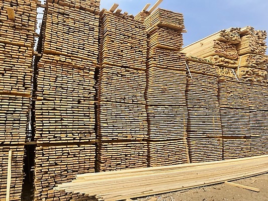 포토 JPG 해외이미지 나무 디자인 산업 패턴 공장 자연 하늘 표면 새로움 사람없음 야외 건물 목재 가로 쌓기 소나무 판넬 닫기 주식 숲 자르기 수집 목수 창고 목공예 수납 자원 잡동사니 내추럴 수목 해외포토 식물 직업 건축물 컨셉 무늬 재료 공업 모션 금융 공예 생태계 파일형식 이미지허브