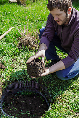 포토 JPG 해외이미지 나무 식물 손 컨셉 농업 자연 새로움 한명 사람 취미 야외 초록색 농장 새싹 환경 정원 희망 흙 봄 성장 신선 잡기 농부 숲 작음 과수원 유기농 원예 뿌리 먼지 모종 묘목 생태학 심기 원예사 해외포토 직업 1 웰빙 계절 교육 감정 산업 컬러 모션 신체부위 크기 생태계 파일형식 이미지허브