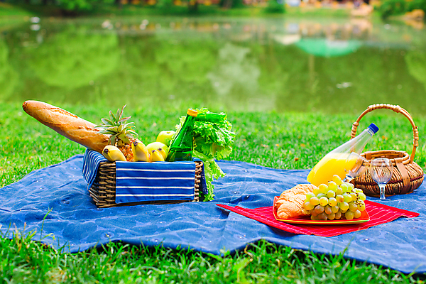 포토 JPG 해외이미지 주간 공원 과일 사람없음 야외 아웃포커스 소풍 주스 식탁보 바게트 소풍바구니 해외포토 자연요소 공공시설 음료 빵 촬영기법 야외활동 바구니 파일형식 이미지허브
