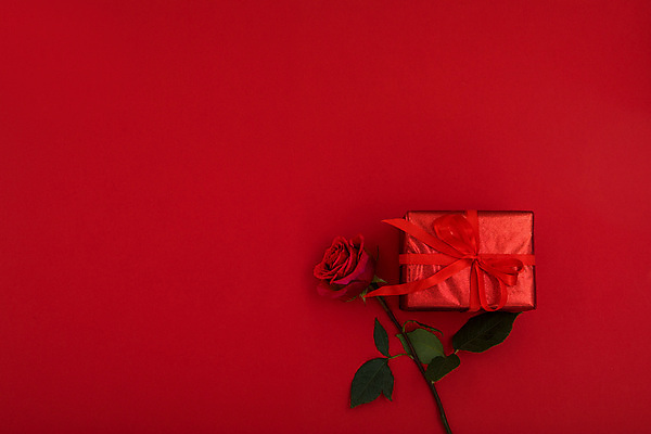 포토 JPG 해외이미지 스튜디오촬영 꽃 백그라운드 사람없음 빨간색 선물상자 하이앵글 장미 해외포토 식물 뷰포인트 컬러 실내 선물 상자 파일형식 이미지허브