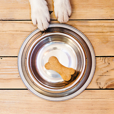 포토 JPG 해외이미지 동물 1 접시 음식 조각 백그라운드 다이어트 뼈 주택 건조 실내 건강 사람없음 초록색 반려동물 컬러풀 갈색 쿠키 식사 저녁식사 고양이 기차 흰색 하트 대접 사발 개 강아지 치아 먹이 먹기 가득함 오브젝트 송곳니 고립 돌봄 수유 혼자 해외포토 모양 식기 육상교통 컬러 포유류 모션 디저트 대중교통 내부 건물 소화기관 사기그릇 파일형식 이미지허브