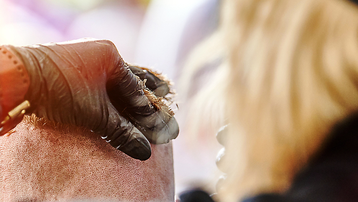 포토 JPG 해외이미지 백인 직업 헤어스타일 여자 장갑 백그라운드 컨셉 가족 노동자 거리 가면 사람 사람없음 컬러풀 뷰티 머리 유행 상점 화장품 장비 공구 수비 바이러스 보호 질병 이발 고객 서비스 예방 보안 돌봄 소셜 위생관리 전염병 스타일 해외포토 서양인 잡화 컬러 의학 관계 모션 관리 안전 신체부위 도구 파일형식 이미지허브