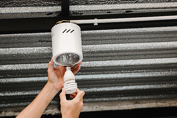 포토 JPG 해외이미지 직업 손 산업 전구 유리 노동자 새로움 주택 사람 사람없음 경제 빛 환경 힘 장비 에너지 램프 잡기 변화 수리 콘센트 서비스 백열등 천장 고정 형광등 유지 혁명 교체 설치 효율 주도 해외포토 컨셉 모션 재질 전등 조명 건물 신체부위 예절 파일형식 이미지허브