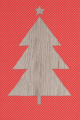 포토 JPG 해외이미지 모양 나무 전통 계절 별 종이 백그라운드 크리스마스 겨울 추상 휴가 사람없음 목재 장식 빨간색 빛 크리스마스트리 축제 어둠 시골 축하 시간 신용카드 분위기 황금 야간 12월 심볼 엽서 빛망울 구성 해외포토 자연요소 식물 기념일 컬러 컨셉 무늬 재료 금융 날짜 편지 파일형식 이미지허브