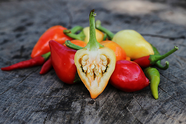 포토 JPG 해외이미지 식물 디자인 음식 줄기 백그라운드 채소 재료 자연 벽지 고추 탁자 불 파프리카 3 요리 사람없음 목재 옆모습 빨간색 초록색 우주 주방 활발 회색 추위 수확 신선 뜨거움 양념 그룹 가득함 향신료 오브젝트 싱글 유기농 매움 복고 후추 숙성 엘리먼트 옛날 채식주의자 해외포토 자연요소 나무 웰빙 뷰포인트 컬러 가구 컨셉 농업 맛 생태계 채식 향미료 파일형식 이미지허브