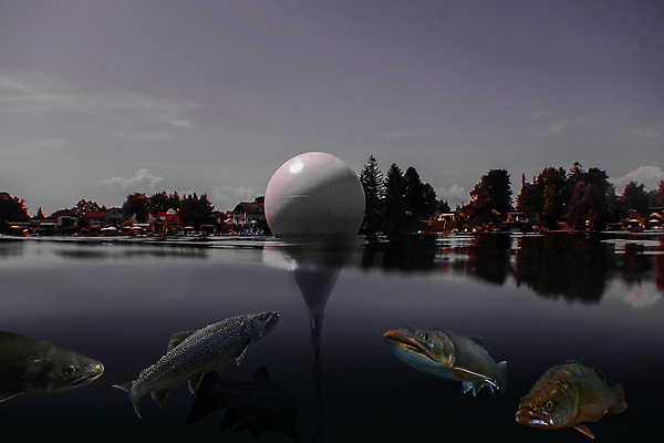 포토 JPG 해외이미지 계절 호수 야생동물 스포츠 파도 자연 휴가 휴식 건강 어류 취미 사람없음 물 여름 파란색 컬러풀 뷰티 환경 수중 수영 꿈 스노클링 오염 잠수부 다이빙 잉어 산소 깊이 동물상 민물 해외포토 자연요소 동물 바다 컬러 컨셉 조형물 수중동물 수상스포츠 원소 전문직 생태계 수중스포츠 파일형식 이미지허브