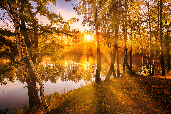 포토 JPG 해외이미지 나무 구름 자연 하늘 풍경 사람없음 야외 강 햇빛 태양 일몰 해외포토 자연요소 식물 노을 생태계 파일형식 이미지허브