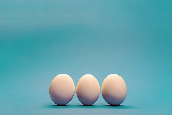 포토 JPG 해외이미지 실내 사람없음 계란 파란배경 일렬 해외포토 백그라운드 내부 파란색 알 파일형식 이미지허브