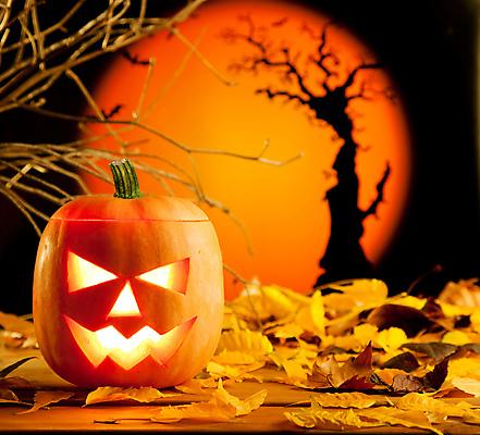 포토 JPG 해외이미지 단풍 낙엽 호박 사람없음 할로윈 오브젝트 잭오랜턴 해외포토 잎 채소 파일형식 이미지허브