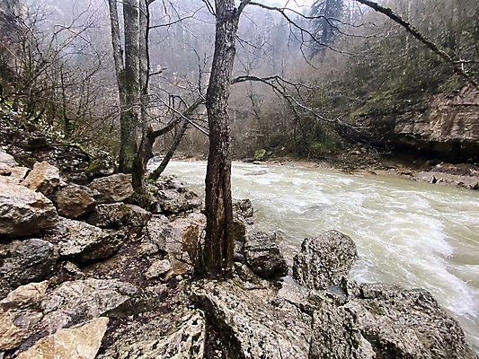 포토 JPG 해외이미지 주간 나무 야생동물 여행 자연 날씨 산 사람없음 야외 가로 물 관광지 강 환경 놀람 흐름 시골 개울 떨어짐 숲 신비 속도 수로 자연백그라운드 분무기 지역 산악지대 생태학 현재 해외포토 자연요소 식물 동물 교육 감정 백그라운드 컨셉 표정 생태계 파일형식 이미지허브