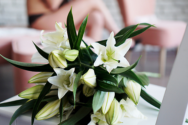 포토 JPG 해외이미지 식물 꽃잎 꽃 기독교 꽃다발 백그라운드 꽃무늬 의자 창문 자연 유리 휴가 선물 사랑 사람없음 내부 장식 초록색 여름 뷰티 정원 꽃병 봄 낭만 벚꽃 흰색 축하 인사 신선 신용카드 생일 개화 백합 다발 꽃집 순수 내추럴 해외포토 계절 기념일 감정 종교 컬러 가구 컨셉 무늬 재질 금융 상점 예절 생태계 파일형식 이미지허브