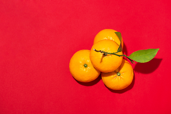 포토 JPG 해외이미지 귤 실내 그림자 사람없음 여러개 빨간배경 해외포토 다수 백그라운드 과일 내부 빨간색 파일형식 이미지허브
