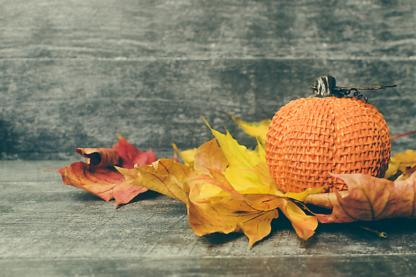 포토 JPG 해외이미지 디자인 계절 열매 음식 백그라운드 컨셉 단풍 잎 패턴 채소 오렌지 자연 탁자 호박 휴가 프레임 건조 미술 사람없음 장식 빨간색 갈색 노란색 유행 침묵 할로윈 수확 흰색 시골 플랫 정상 11월 레이아웃 위치 추수감사절 10월 구성 힙스터 플랫레이 해외포토 식물 패션 기독교 컬러 가구 무늬 농업 과일 문화예술 소리 날짜 생태계 파일형식 이미지허브