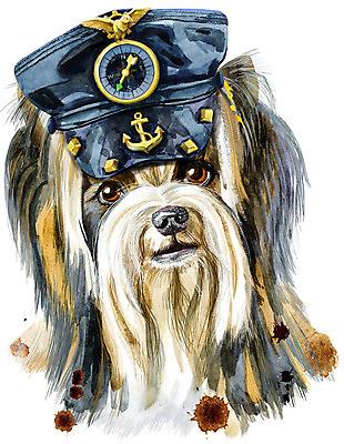 포토 JPG 해외이미지 디자인 백그라운드 미술 사람없음 반려동물 개 강아지 나침반 요크셔테리어 닻 항해사 해외포토 동물 직업 포유류 문화예술 테리어 파일형식이미지허브 