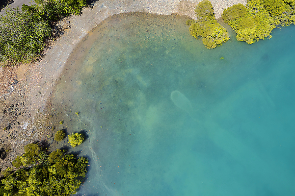 포토 JPG 해외이미지 나무 모래 바다 패턴 자연 조류 추상 안테나 사람없음 초록색 물 파란색 모래사장 컬러풀 반사 노란색 침묵 조약돌 만 잡초 호주 드론 소금물 터키석 해일 내려보기 해외포토 자연요소 식물 동물 컬러 무늬 통신 모션 소리 돌_바위 오세아니아 보석 자연재해 생태계 파일형식 이미지허브