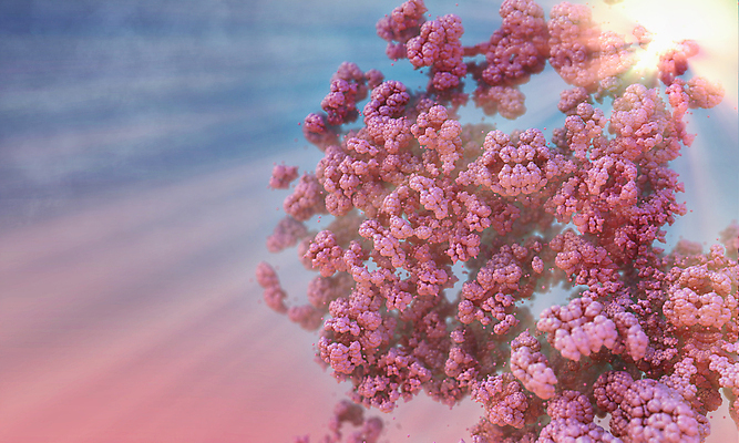 포토 JPG 해외이미지 나무 식물 전통 계절 꽃잎 꽃 아시아 분홍색 백그라운드 꽃무늬 일러스트 자연 하늘 부활절 동양인 사람없음 야외 파란색 빛 햇빛 뷰티 3D 정원 일본 맑음 중국 일몰 봄 벚꽃 광선 나뭇가지 개화 체리 대만 만들기 해외포토 기념일 나라 컬러 무늬 과일 모션 날씨 인종 태양 노을 디지털합성 생태계 파일형식 이미지허브