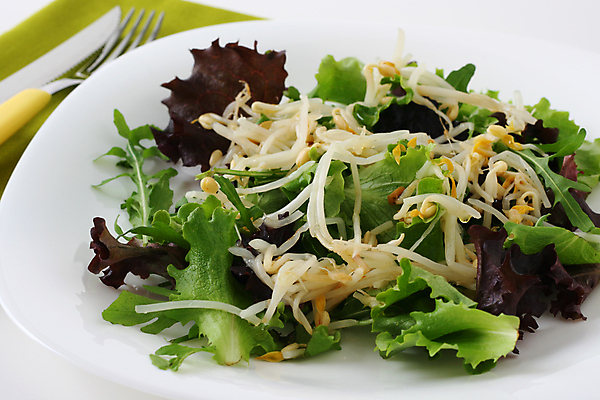 포토 JPG 해외이미지 접시 음식 다이어트 채소 콩 건강 식이요법 사람없음 빨간색 새싹 식사 저녁식사 흰색 기름 상추 준비 올리브 점심식사 채식주의자 해외포토 식물 식기 열매 컬러 곡류 채식 파일형식 이미지허브