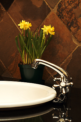 포토 JPG 해외이미지 꽃 벽 꽃무늬 가정 주택 사람없음 내부 장식 갈색 금속 방 욕실 흰색 시골 도자기 사발 은색 계산대 타일 싱크대 대리석 수선화 대야 화강암 스타일 해외포토 식물 컬러 무늬 재료 재질 건물 암석 사기그릇 개수대 파일형식 이미지허브