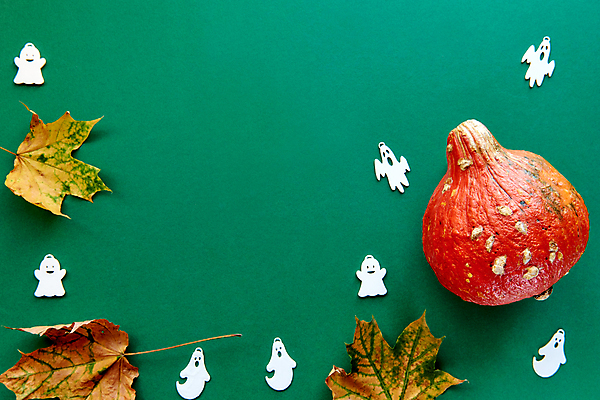 포토 JPG 해외이미지 나무 디자인 계절 백그라운드 잎 패턴 오렌지 장난 텍스트 자연 탁자 호박 휴가 프레임 건조 따뜻함 사람없음 장식 초록색 갈색 노란색 파티 할로윈 흰색 플랫 정상 묘사 질감 레이아웃 위치 추수감사절 10월 내추럴 흡혈귀 구성 힙스터 미니멀 해외포토 식물 패션 기독교 컬러 가구 무늬 채소 과일 이벤트 날짜 생태계 파일형식 이미지허브