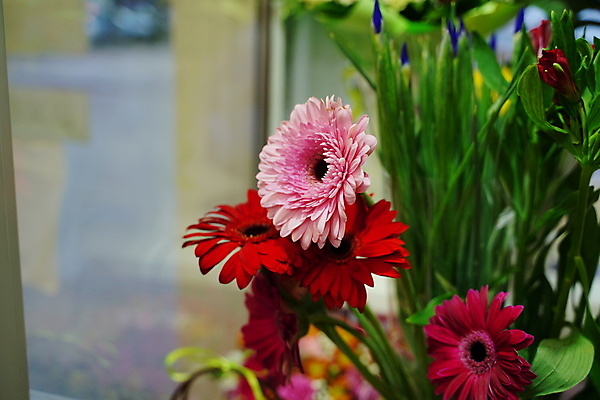 포토 JPG 해외이미지 기념일 꽃잎 꽃 결혼 컨셉 꽃무늬 결혼식 휴가 발렌타인데이 선물 사랑 사람없음 컬러풀 놀람 기쁨 낭만 축하 신선 생일 우아함 혼합 8 다발 계산대 심볼 향기 아로마 솜털 취급주의 어머니의날 해외포토 식물 감정 컬러 무늬 데이이벤트 표정 경고 이벤트 숫자 냄새 미국문화 파일형식 이미지허브
