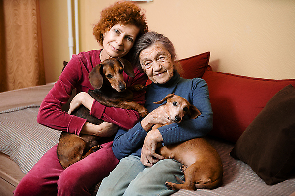 포토 JPG 해외이미지 백인 딸 행복 2 관계 포옹 엄마 주택 함께함 사랑 미소 두명 소파 우정 기쁨 간호사 주름 아빠 개 닥스훈트 동료 만족 방문 테라피 세대 옛날 지원 헬프 해외포토 서양인 감정 컨셉 의자 포유류 가족 안기 표정 사람 건물 친구 뷰티 의료진 도움 파일형식 이미지허브
