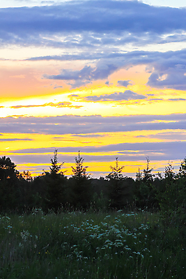 포토 JPG 해외이미지 구름 계절 분홍색 여행 백그라운드 오렌지 자연 하늘 아침 날씨 추상 풍경 사람없음 야외 빨간색 여름 파란색 빛 컬러풀 햇빛 태양 뷰티 노란색 우주 일출 맑음 황혼 일몰 새벽 활발 황금 저녁 장면 천국 솜털 웅장함 수평선 해외포토 주간 자연요소 컬러 컨셉 무늬 과일 노을 야간 생태계 파일형식 이미지허브