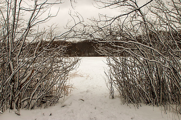 포토 JPG 해외이미지 백인 전통 디자인 커플 외관 계절 리본 백그라운드 크리스마스 겨울 휴가 출입구 새로움 주택 소년 사람없음 야외 장식 빨간색 빛 컬러풀 문 계단 축제 어둠 흰색 축하 도시 소나무 복도 12월 연도 입장 활 약혼 환영 상록수 스타일 해외포토 서양인 나무 기념일 남자 어린이 컬러 결혼 컨셉 관계 건물 날짜 약속 파일형식 이미지허브