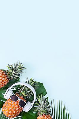포토 JPG 해외이미지 실내 사람없음 하이앵글 선글라스 헤드폰 파인애플 열대과일 파란배경 몬스테라 열대잎 카피스페이스 제철과일 해외포토 식물 안경 뷰포인트 음향기기 백그라운드 잎 과일 내부 파란색 공백 제철 파일형식 이미지허브