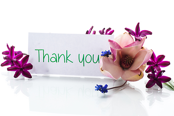 포토 JPG 해외이미지 종이 백그라운드 봄꽃 프레임 사랑 사람없음 사각형 보라색 감사 레터링 해외포토 도형 꽃 감정 컬러 봄 파일형식 이미지허브