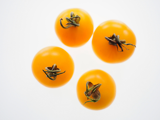 포토 JPG 해외이미지 음식 토마토 과일 자연 건강 종류 사람없음 컬러풀 노란색 일출 황금 자르기 흰배경 유기농 고립 숙성 해외포토 웰빙 컬러 백그라운드 채소 모션 노을 흰색 생태계 파일형식 이미지허브